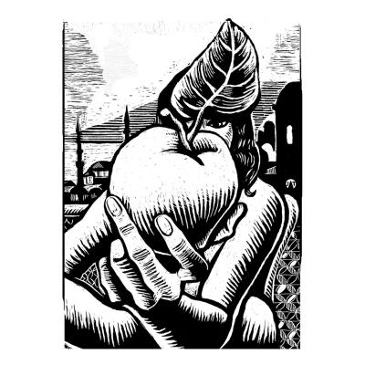 La mela cotogna di Istanbul di Paolo Rumiz - Il Piccolo