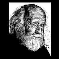 Hubert Reeves